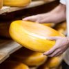 Multi Award Winning Cheese Producer & Modern Regional Cafe