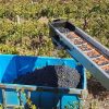 A well established exceptional winery in SA prominent wine region.